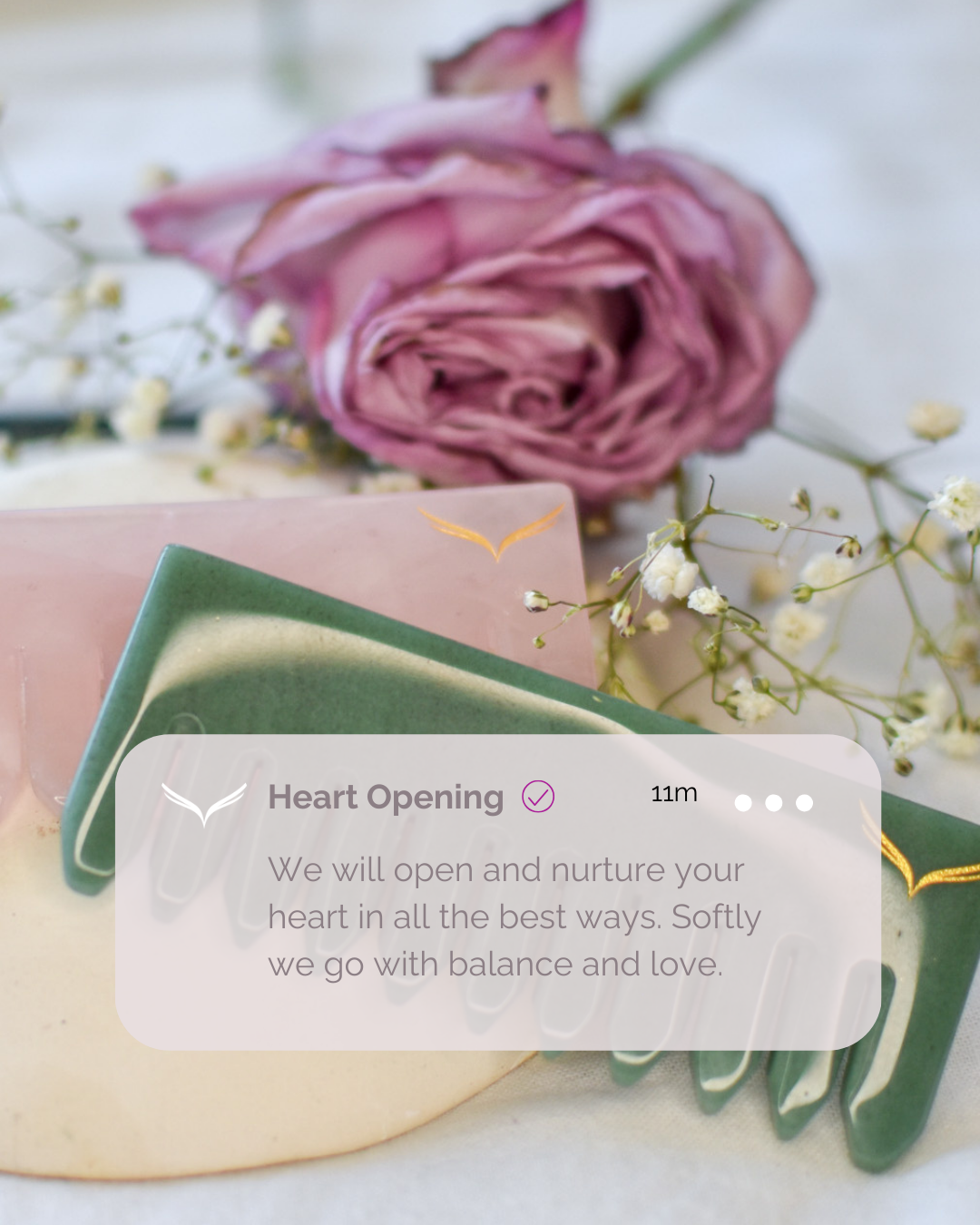 Heart Opening Crystal Comb Set