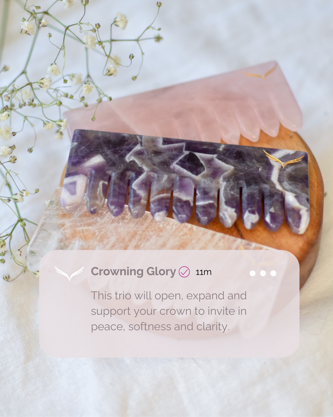 Crowning Glory Crystal Comb Set